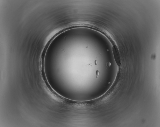 X0000090911082200707301429