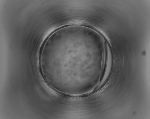 X0000090911083200707301429