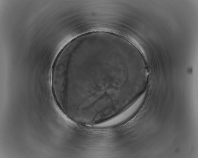 X0000090911084200707301429