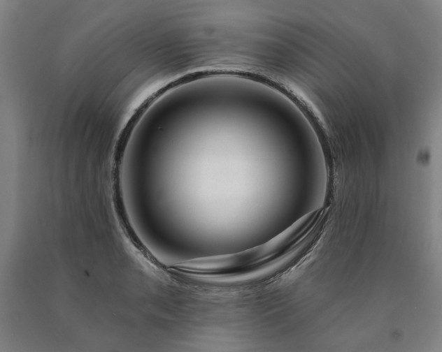 X0000090911085200707301429