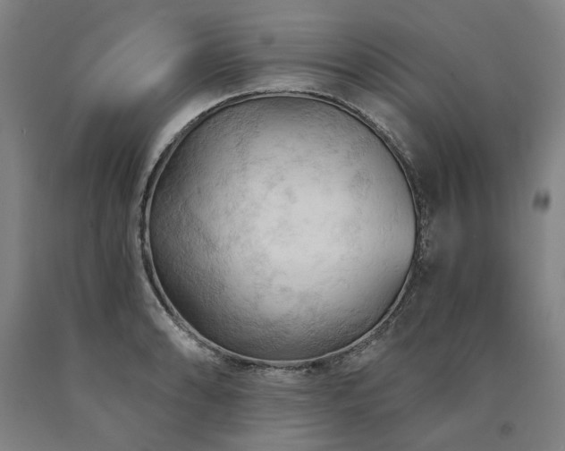 X0000090911086200707301429