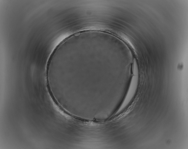 X0000090911087200707301429