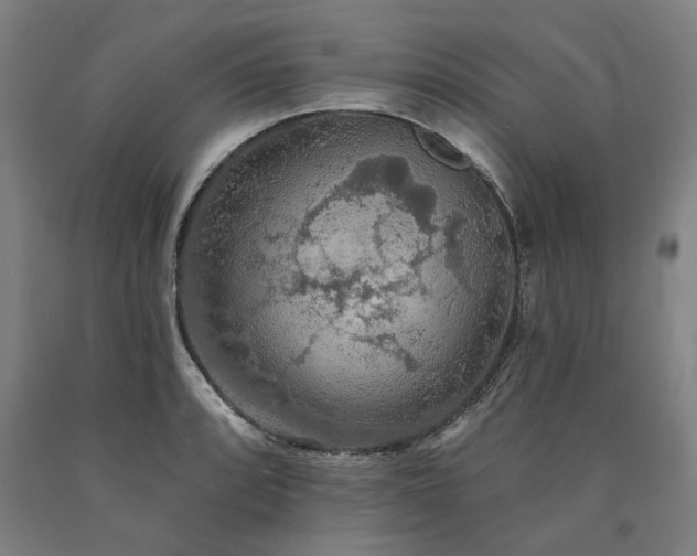 X0000090911088200707301429