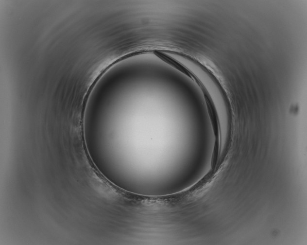 X0000090911089200707301429
