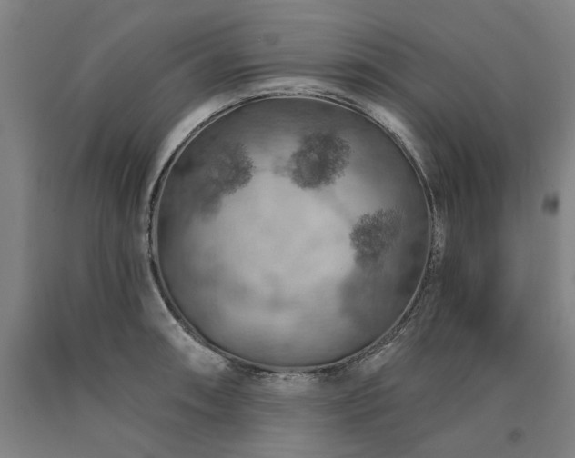 X0000090911090200707301429