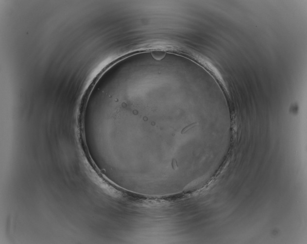 X0000090911091200707301429