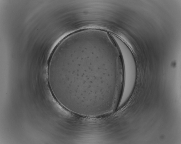 X0000090911092200707301429