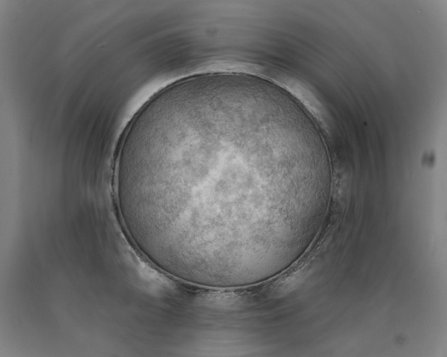 X0000090911094200707301429