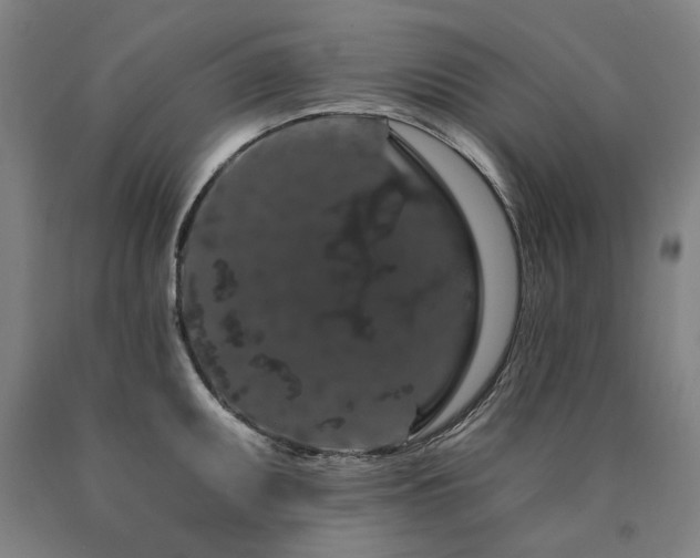 X0000090911095200707301429