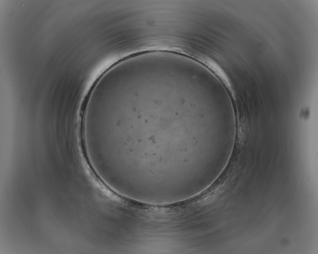 X0000090911096200707301429