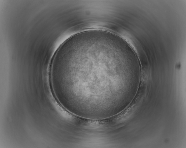 X0000090911098200707301429