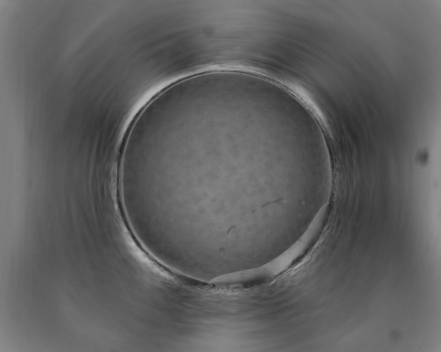 X0000090911100200707301429