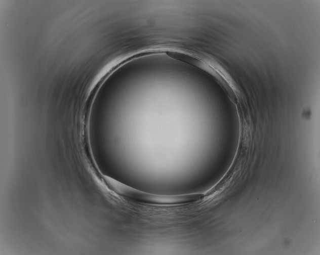 X0000090911101200707301429