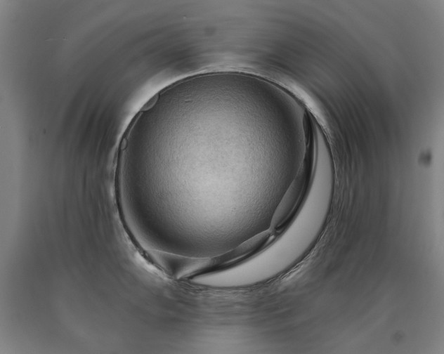 X0000090911102200707301429