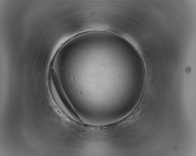 X0000090911104200707301428
