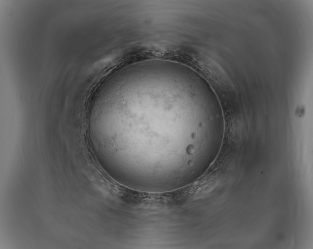 X0000090911105200707301428
