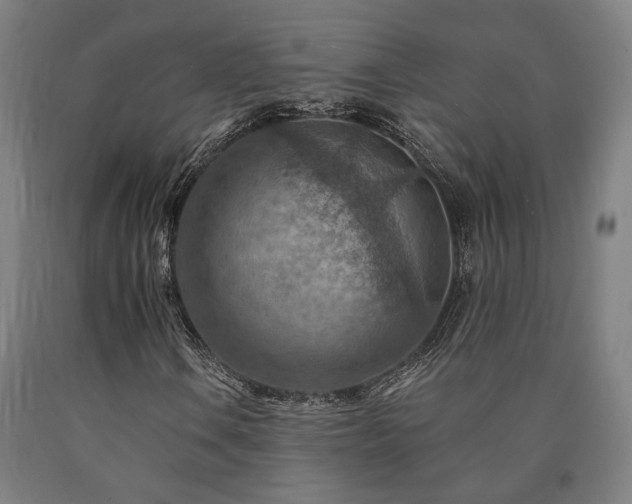 X0000090911106200707301428