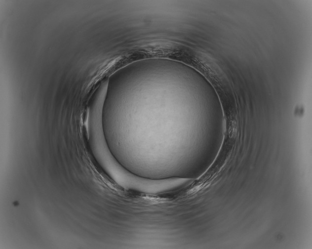 X0000090911108200707301428
