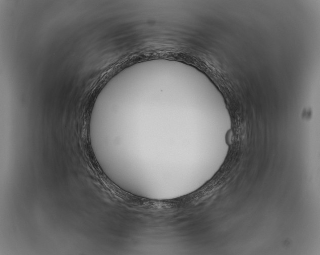 X0000090911109200707301428
