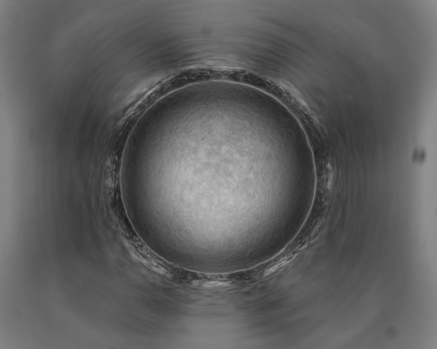 X0000090911110200707301428