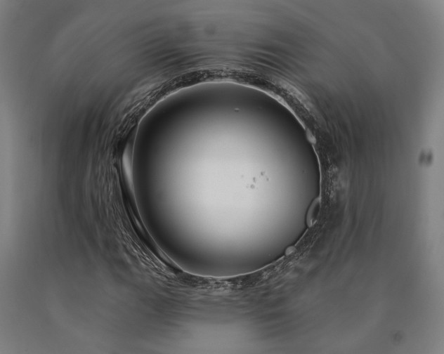 X0000090911111200707301428