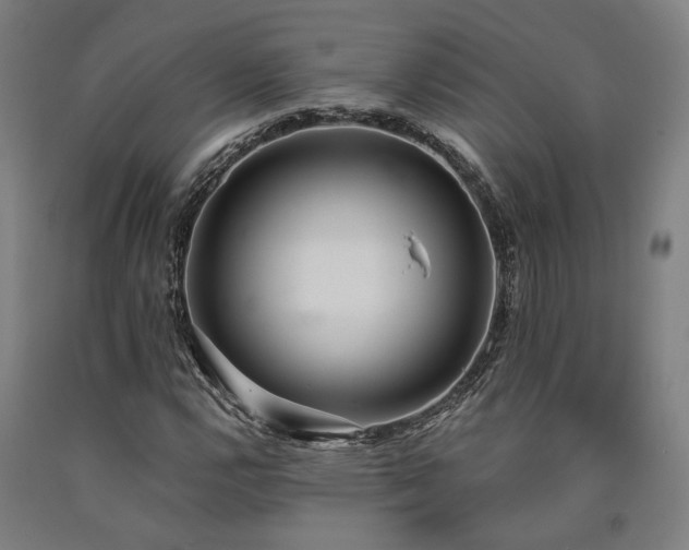 X0000090911112200707301428
