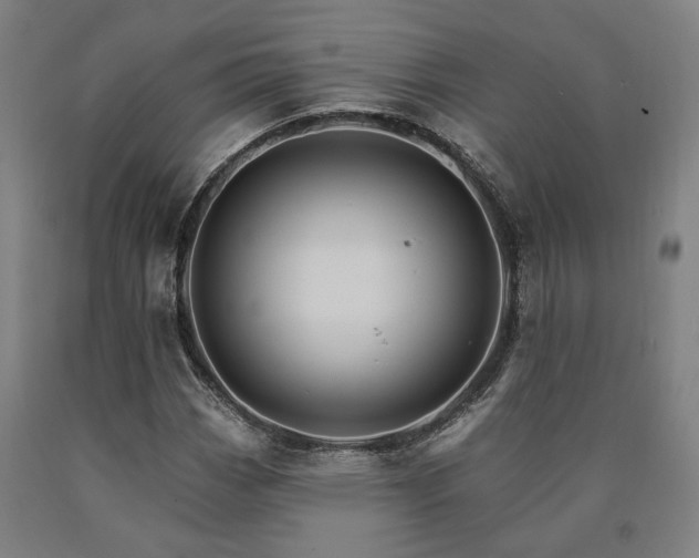 X0000090911113200707301428