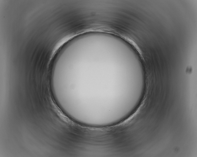 X0000090911114200707301428