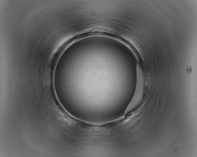 X0000090911115200707301428
