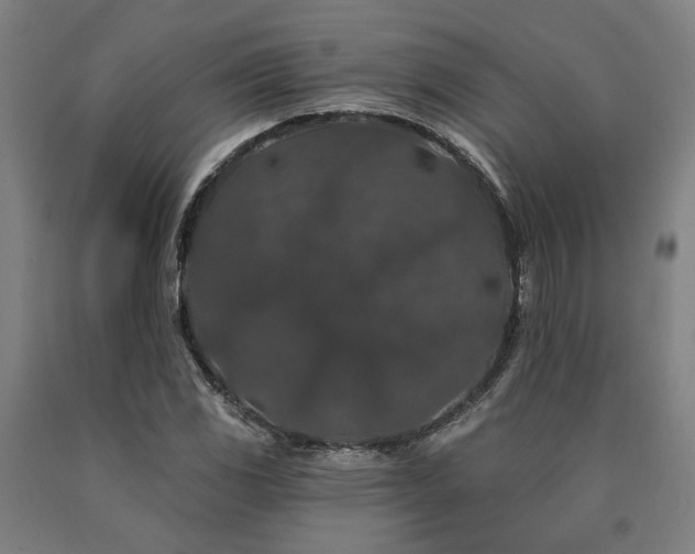 X0000090911117200707301428