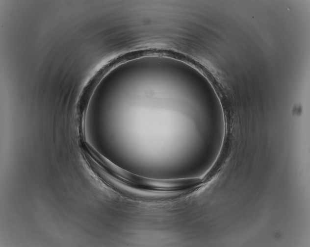 X0000090911118200707301428