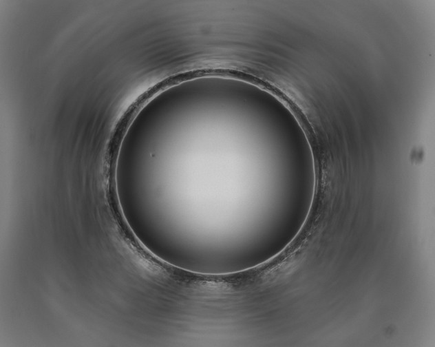 X0000090911119200707301428