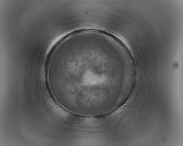 X0000090911120200707301428