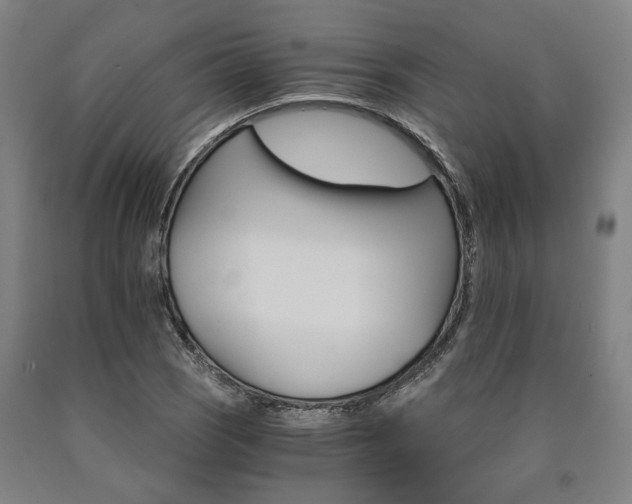X0000090911121200707301428