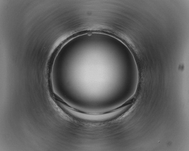 X0000090911122200707301428