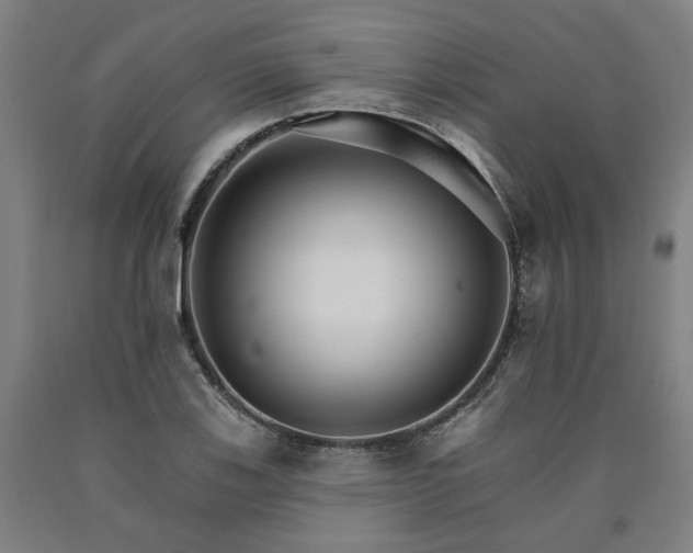 X0000090911123200707301428