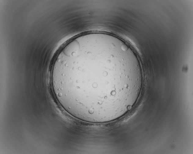 X0000090911125200707301428