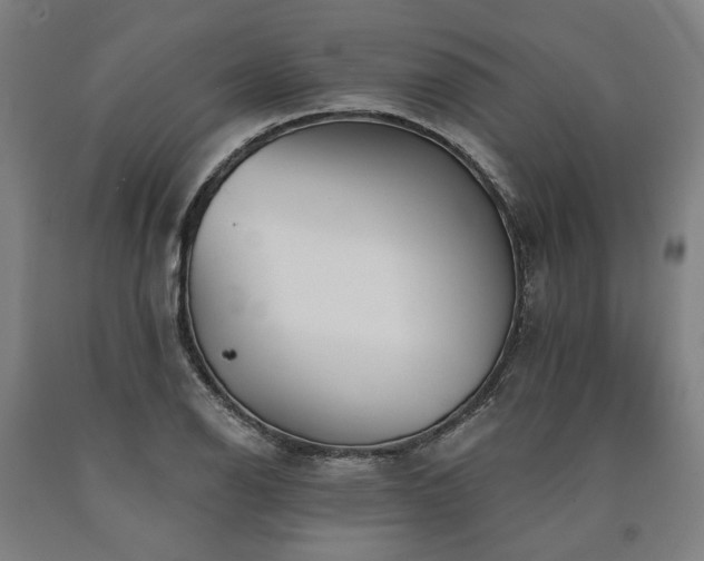 X0000090911126200707301428
