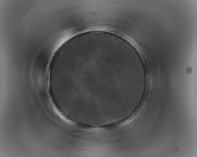X0000090911127200707301428
