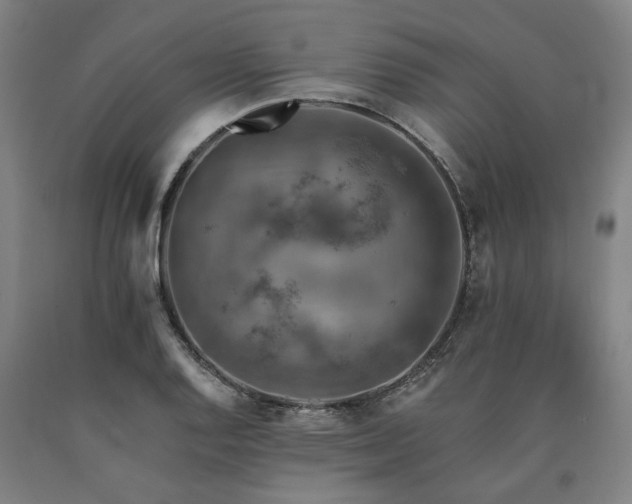 X0000090911128200707301428