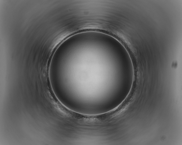 X0000090911129200707301428