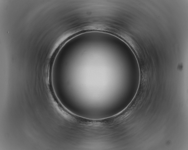 X0000090911131200707301428