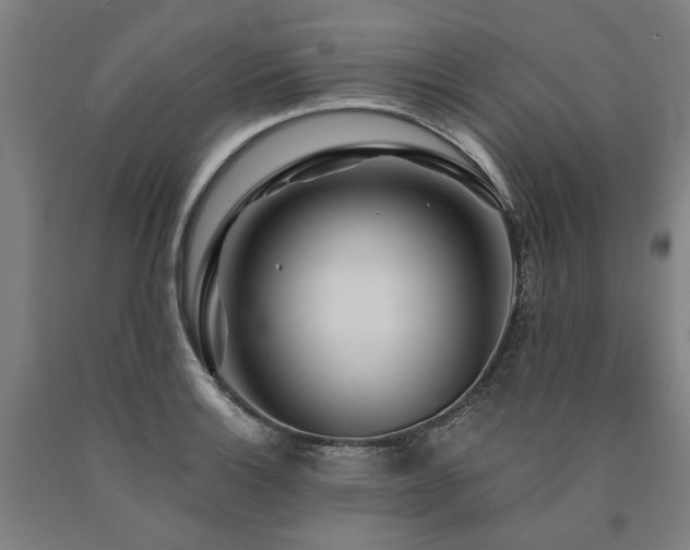 X0000090911132200707301428