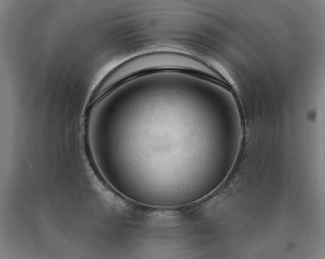 X0000090911133200707301428