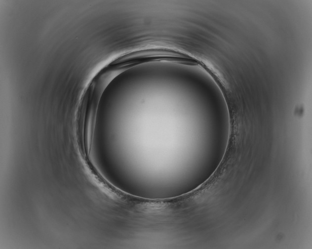 X0000090911134200707301428