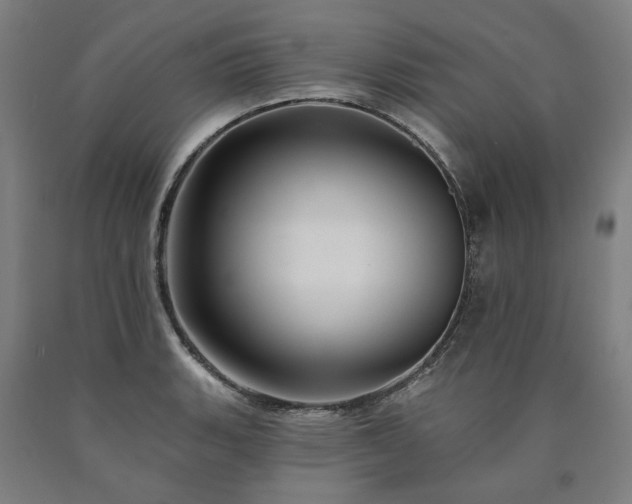 X0000090911135200707301428