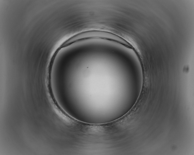X0000090911136200707301428