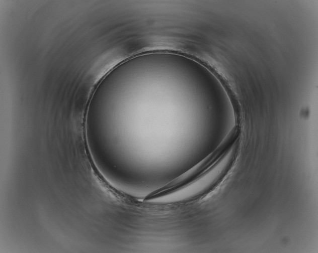 X0000090911137200707301428