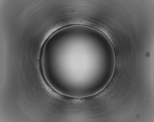 X0000090911139200707301428