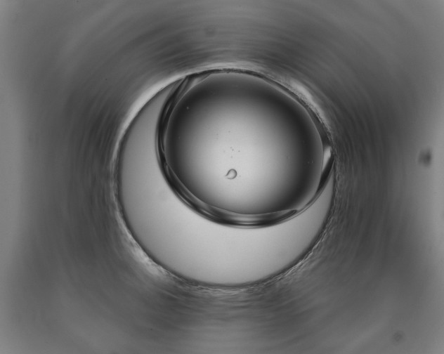 X0000090911140200707301428